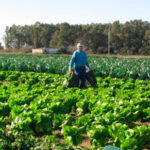 Reclaman la triple rentabilidad: económica, social y ambiental para garantizar el futuro de las explotaciones familiares