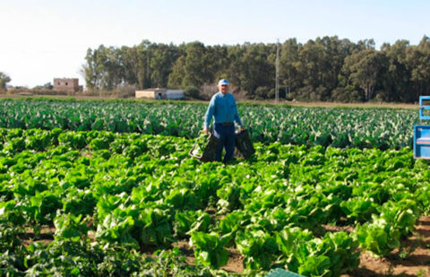 Reclaman la triple rentabilidad: económica, social y ambiental para garantizar el futuro de las explotaciones familiares