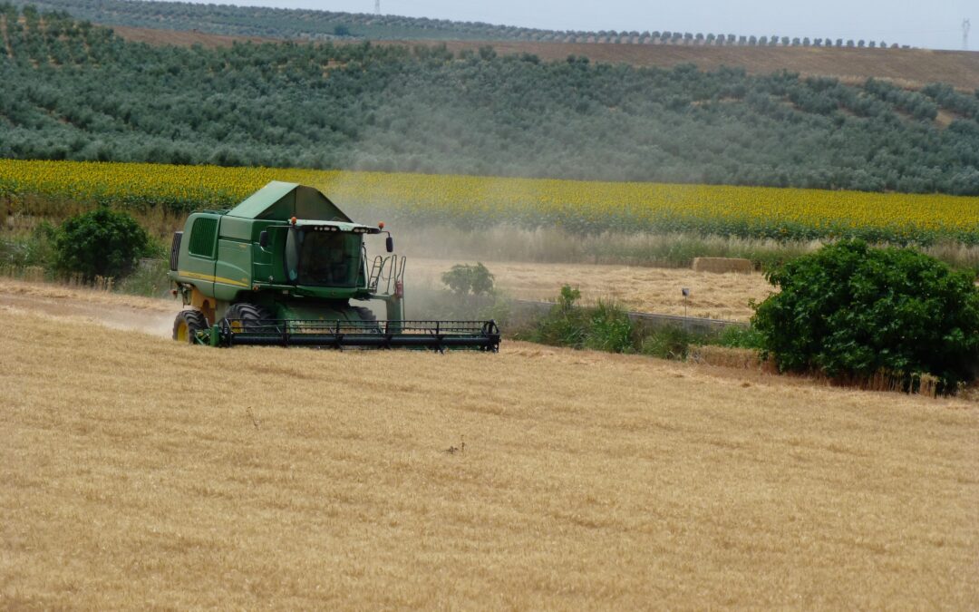 La volatilidad internacional y una oferta retenida a la espera de ver lo que pasará marcan una semana sin referencias claras en los cereales