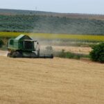 La volatilidad internacional y una oferta retenida a la espera de ver lo que pasará marcan una semana sin referencias claras en los cereales