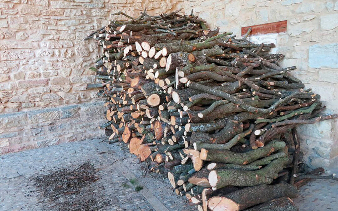 El Recuenco (Guadalajara) ofrece leña cortada a sus vecinos de parcelas del monte público ante el envejecimiento de la población