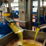 España consolida su liderazgo internacional en el aceite de oliva: 1,4 millones de toneladas y fuerte impulso exportador