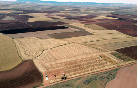 Identificación de parcelas y su propiedad en la PAC para cumplir la condicionalidad y cobrar: Muchas se encuentran en un limbo legal