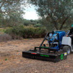 Denuncian que los precios del aceite caen más de un 30% sobre la campaña anterior pese a haber una previsión de cosecha menor de la prevista