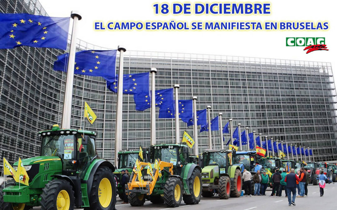 Los recortes en la PAC dispararían el precio de los alimentos entre un 6 y un 9,3% y encarecerían la cesta de la compra, entre 350 y 500 € por hogar