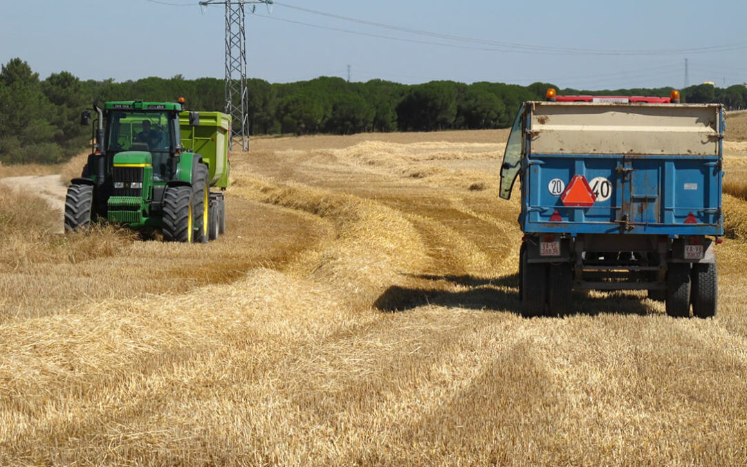 Exigen al Gobierno y a la UE la activación urgente de mecanismos de compensación ante la crítica situación de la campaña del cereal en 2025