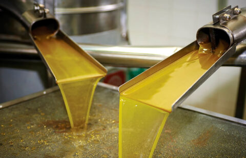 Confirmado: el Gobierno no activará la retirada de aceite de oliva para esta campaña al no alcanzarse el umbral previsto para su activación