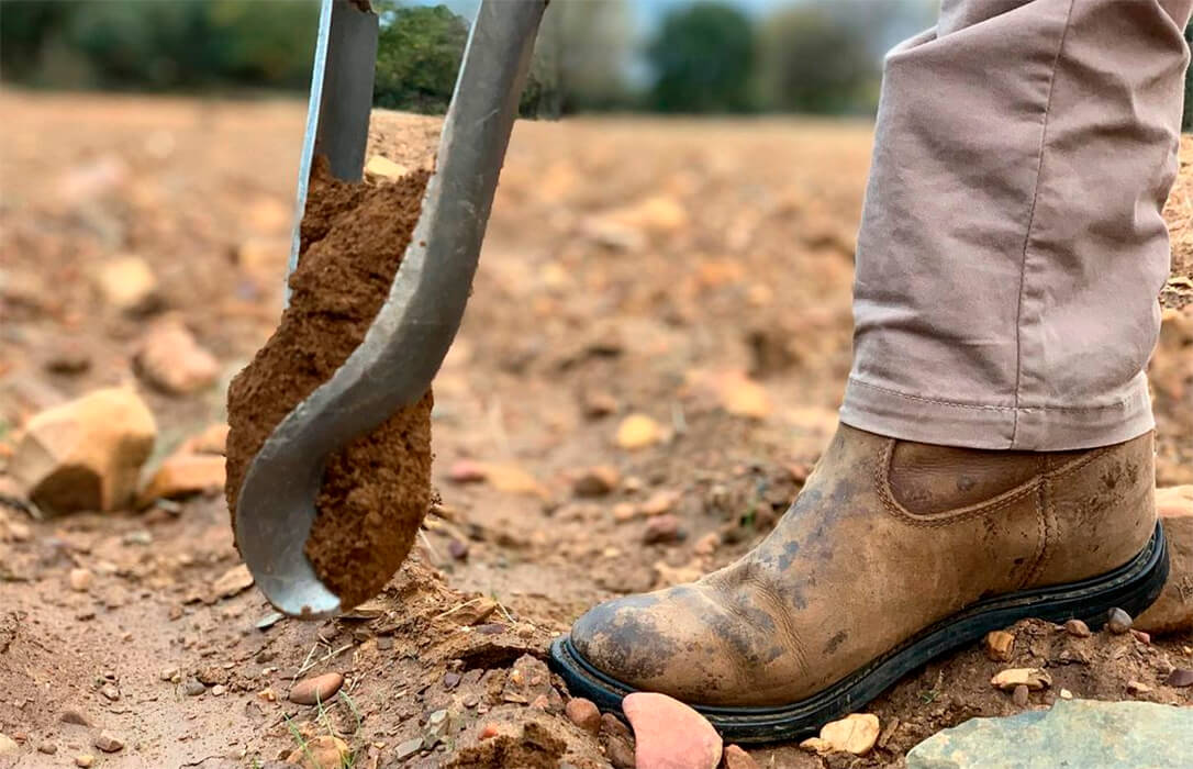 El campo logra el consenso: populares y socialistas se unen para pedir en Bruselas retirar una PAC «lesiva» para el campo español