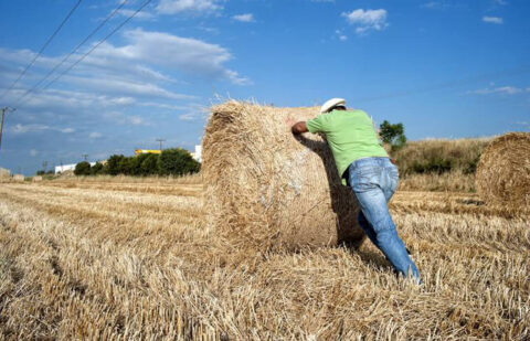 El mayor presupuesto de los últimos 15 años para el campo de Castilla y León: 673 millones que se eleva a casi 1.600 millones con la PAC