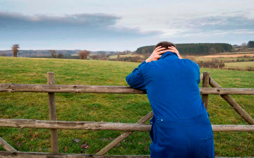 Salud mental y bienestar en agricultura: un informe europeo pone de manifiesto la urgente necesidad de abordar esta enfermedad