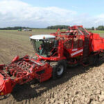 Piden apoyo para el sector agroindustrial del Bajo Guadalquivir ante el cierre de Azucarera y el riesgo de desmantelamiento del sector remolachero