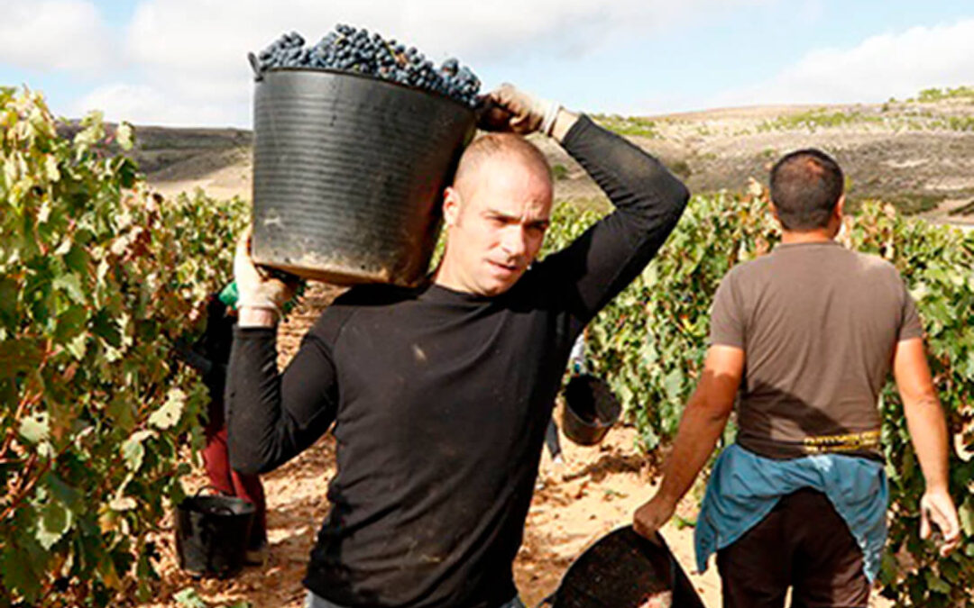 Las reivindicaciones por un mejor reparto consigue mejorar la propuesta de ayudas para los sectores afectados por la sequía