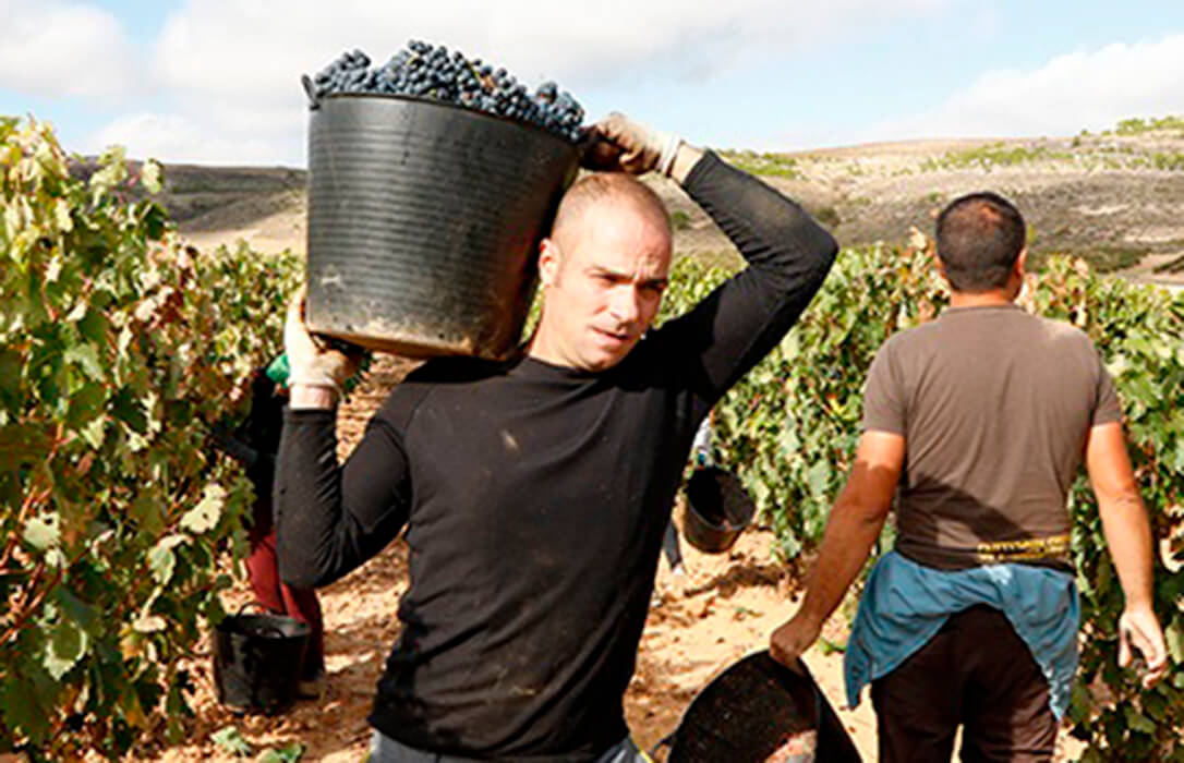 Las reivindicaciones por un mejor reparto consigue mejorar la propuesta de ayudas para los sectores afectados por la sequía