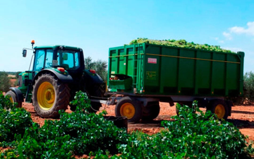 Exigen a ENESA la revisión de los precios de aseguramiento del seguro de uva de vinificación: lo que se recibe es manifiestamente insuficiente