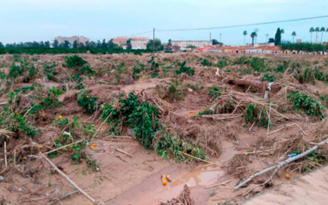 Cambios y muy concretos: reclama al Ministerio incluir la siniestralidad extraordinaria por cambio climático en su plan de seguros agrarios