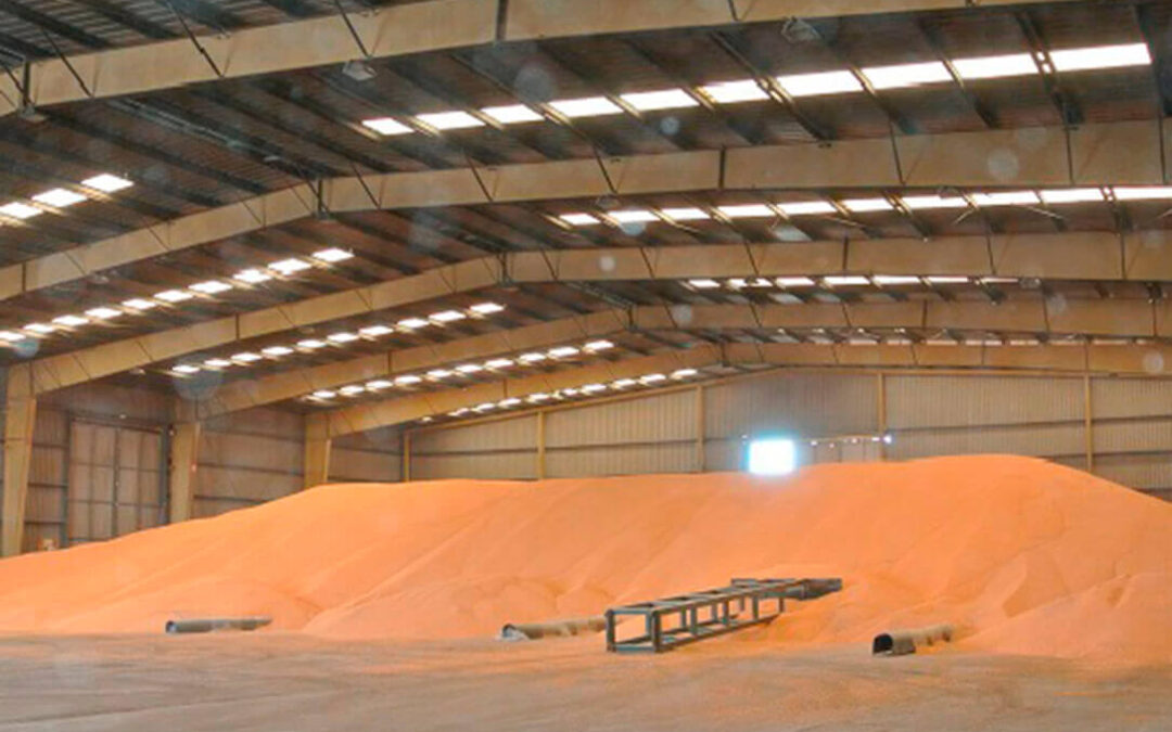 Semana débil: hay más oferta pero con los compradores parados se mantiene la presión bajista en el mercado cerealista en el final de año