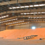 Semana débil: hay más oferta pero con los compradores parados se mantiene la presión bajista en el mercado cerealista en el final de año