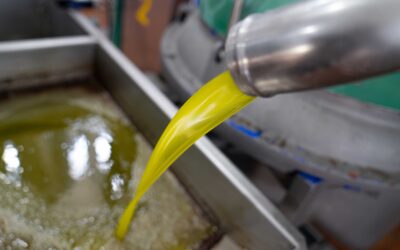 El precio en origen del aceite de oliva virgen extra sube un 5,3% la última semana y se sitúa en 4,62 euros el kilo, según el Sistema Poolred