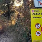 Ocho nuevas muertes por peste porcina, tolerancica cero a quien se salte las medidas de seguridad y la UME acude a ayudar a la Generalitat