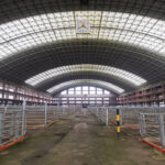 Cantabria is discussing with livestock farmers a gradual easing of restrictions and a certain level of activity at fairs and markets, given that the dermatosis is "under control and vaccines are already available."«