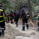 Amplían la búsqueda de jabalíes, tras encontrar ya 50 animales muertos pero sin contagio, mientras el Gobierno catalán anuncia ayudas al sector