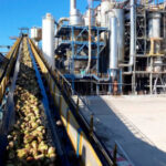 Azucarera estudia emprender acciones legales contra COAG por decidir que invertirá en Paraguay y «difundir información falsa ya desmentida»