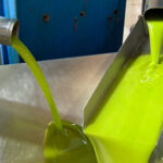 El precio del aceite en origen no sube y España ya tiene el precio más bajo en Europa para el aceite virgen extra de los principales productores