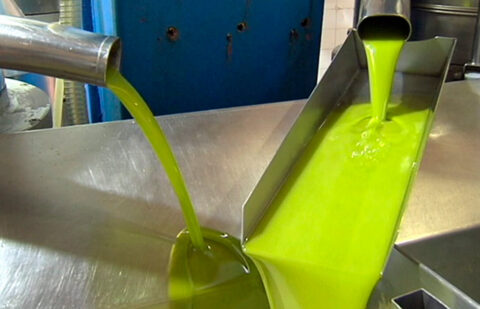 El precio del aceite en origen no sube y España ya tiene el precio más bajo en Europa para el aceite virgen extra de los principales productores