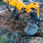 Reclaman al Ministerio de Agricultura que se implique en la medida de arranque voluntario de viñedo utilizando fondos europeos