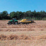La lonja de León cierra el 2025 con una bajada del precio de todos cereales: la avena un 25%; el trigo, un 11%; y maíz y cebada, un 6%