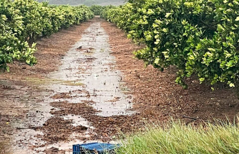 La cara buena de la borrasca Emilia: lluvias clave para salir de la sequía, con daños puntuales por exceso de agua y pedrisco