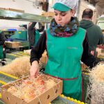 Lejos de casa, cerca del hogar: Las cajas de granadas de Elche viajan a una docena de países y más de 20 provincias españolas por Navidad