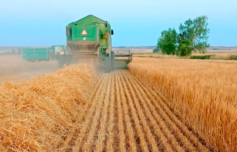 Cierta estabilidad en las cotizaciones de los cereales en una lonja de León premiada con el Arado de Plata por su trabajo