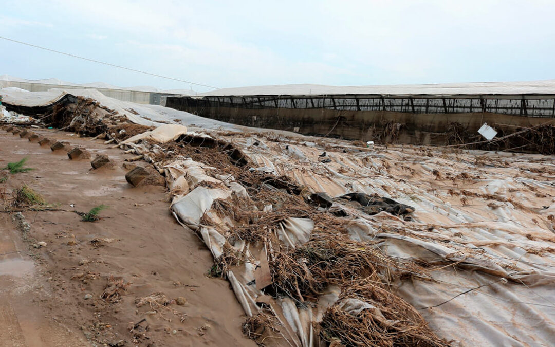 La Junta andaluza impulsa la contratación de seguros agrarios abonando subvenciones por valor de 16,3 millones de euros