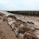 La Junta andaluza impulsa la contratación de seguros agrarios abonando subvenciones por valor de 16,3 millones de euros