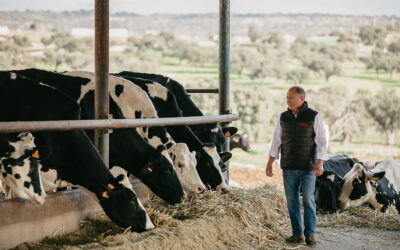 La cooperativa COVAP reduce más de un 18% la huella de carbono en cada litro de la leche de vaca que produce