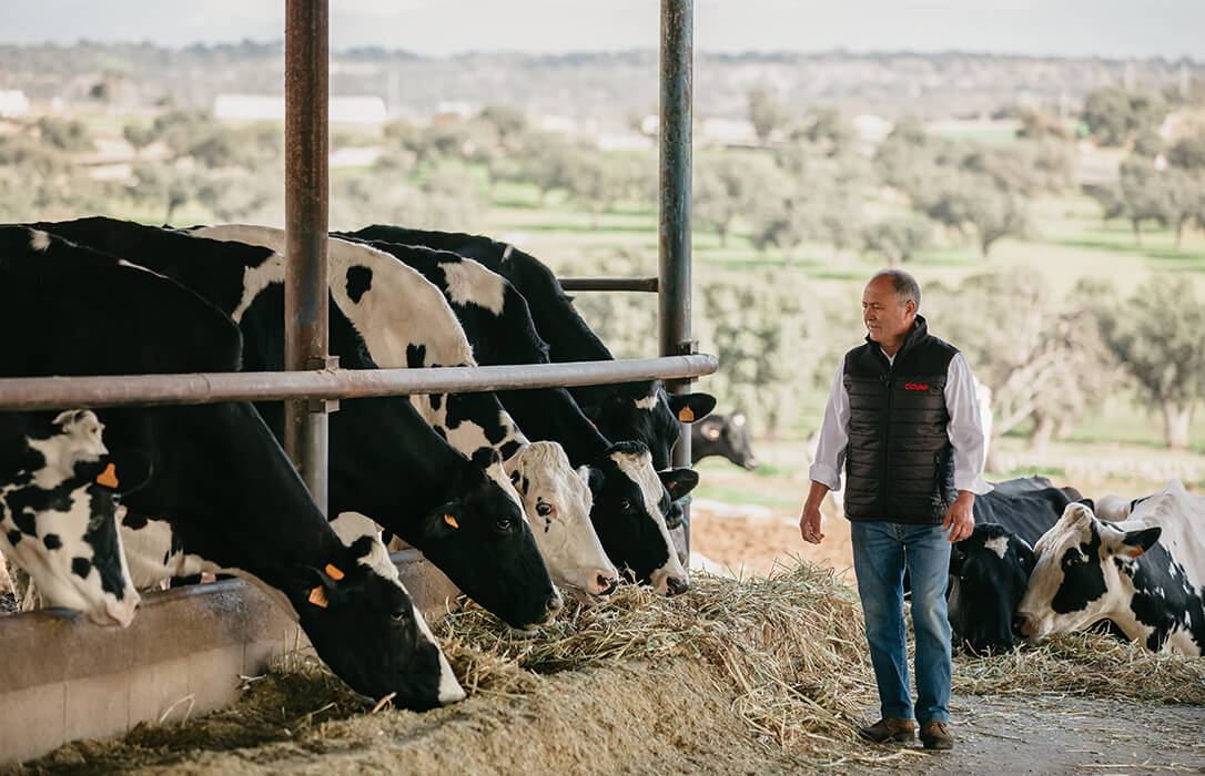 La cooperativa COVAP reduce más de un 18% la huella de carbono en cada litro de la leche de vaca que produce