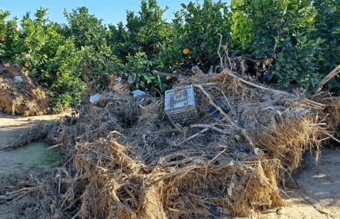 El Ministerio eleva a 80,7 millones el pago a titulares de explotaciones que repararon con sus propios medios los daños causados por la DANA