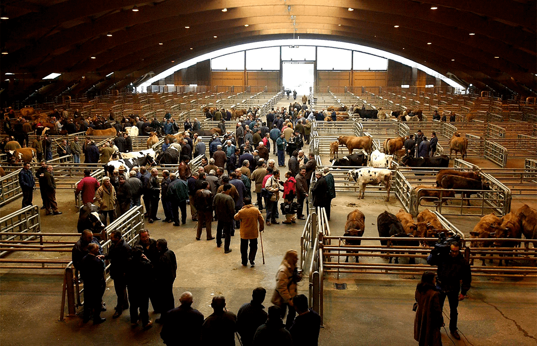 Asturias amplía las medidas de protección ante la dermatosis y prorroga hasta el 18 de enero la suspensión del mercado de ganado de Siero