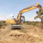 Ecologistas radicales: «Sostenella y no enmendalla»