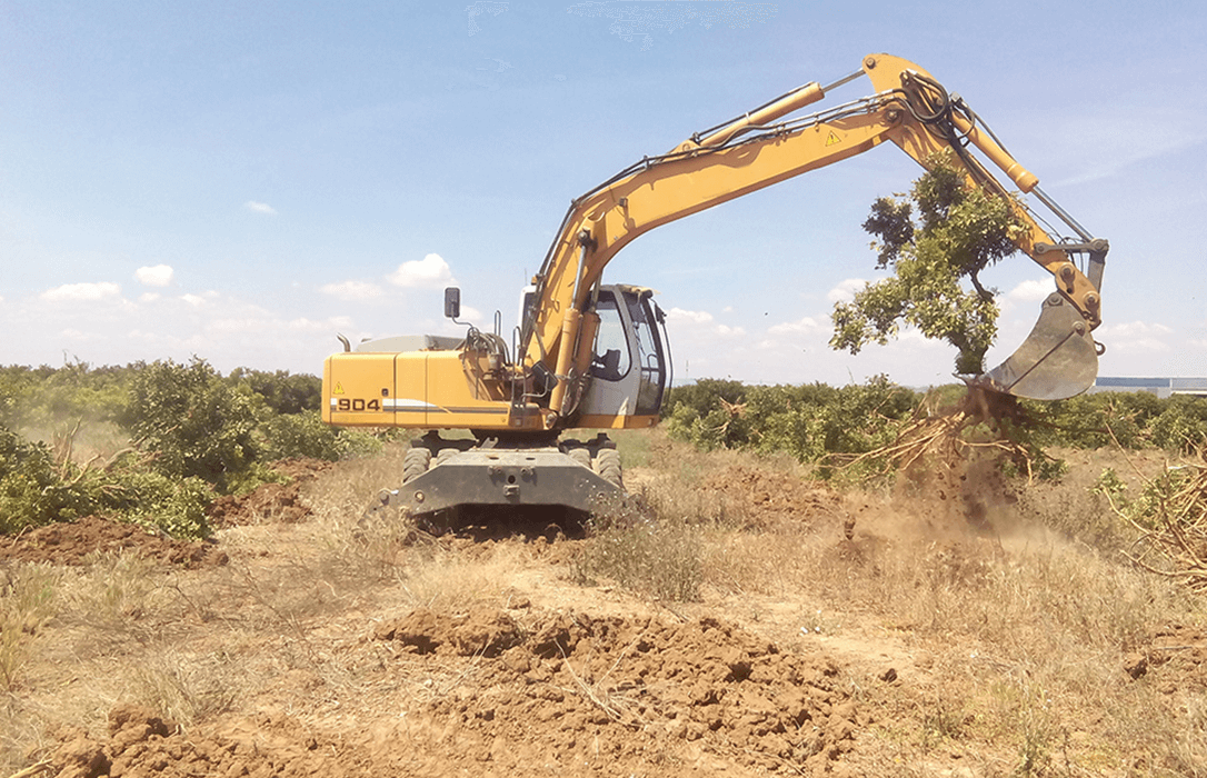 Ecologistas radicales: «Sostenella y no enmendalla»