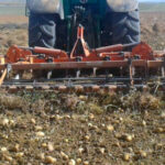 Los datos de la PAC: León recibió, en el ejercicio financiero de 2025, el mayor apoyo en ayudas directas desde que existen estos fondos