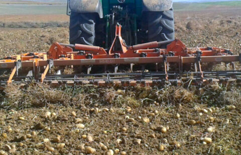 Los datos de la PAC: León recibió, en el ejercicio financiero de 2025, el mayor apoyo en ayudas directas desde que existen estos fondos