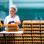 El precio del huevo sigue sin tocar techo y se dispara un 30% anual mientras el del aceite de oliva sigue en caída libre y baja un 38%