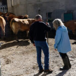 El Ministerio de Agricultura, Pesca y Alimentación concede ayudas a 1.194 explotaciones agrarias de titularidad compartida en 2025