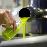 Las figuras de calidad de aceite de la provincia de Jaén renuevan el Patronato de la Fundación Certióleo para promocionar los AOVEs