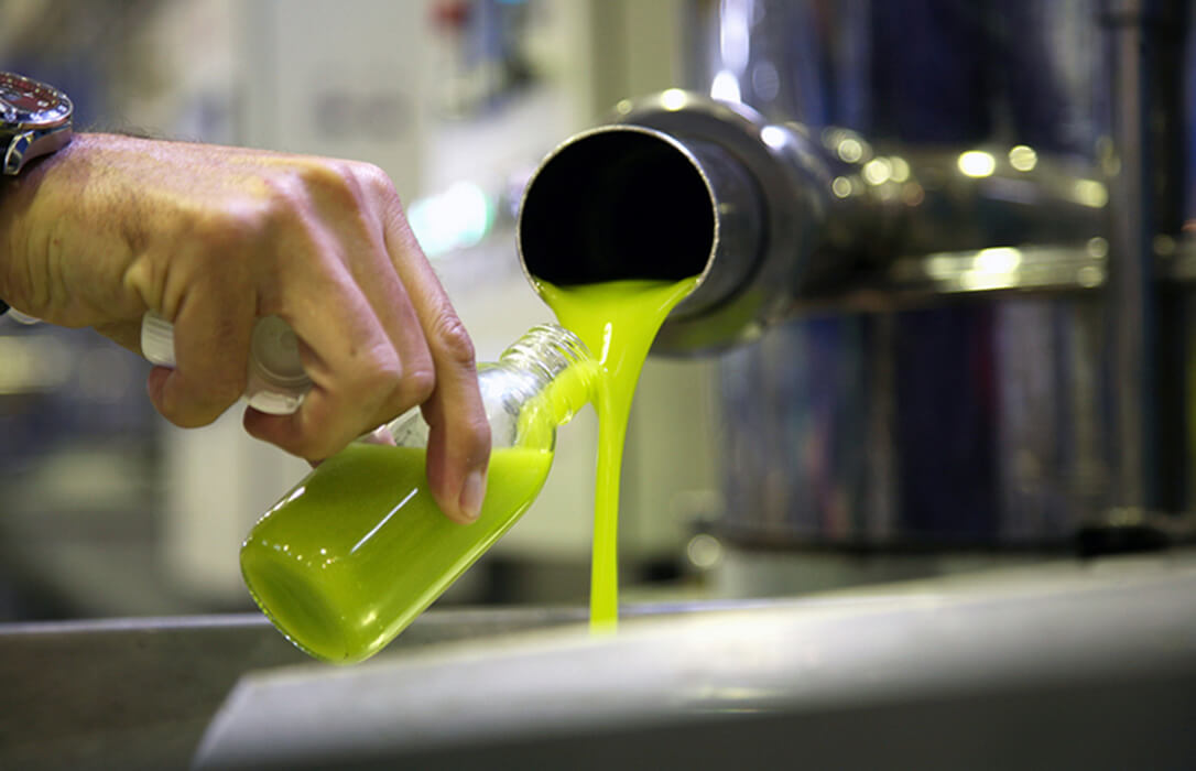 Las figuras de calidad de aceite de la provincia de Jaén renuevan el Patronato de la Fundación Certióleo para promocionar los AOVEs