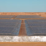 Los productores españoles de tomate se enfrentan a una competencia del Sahara que se beneficiará de concesiones inéditas y financiación comunitaria