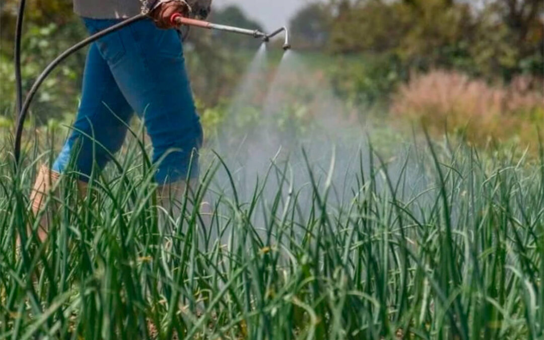 El sector agrario alerta: los ajustes del impuesto CBAM no frenan el riesgo de escasez y los costes críticos en fertilizantes