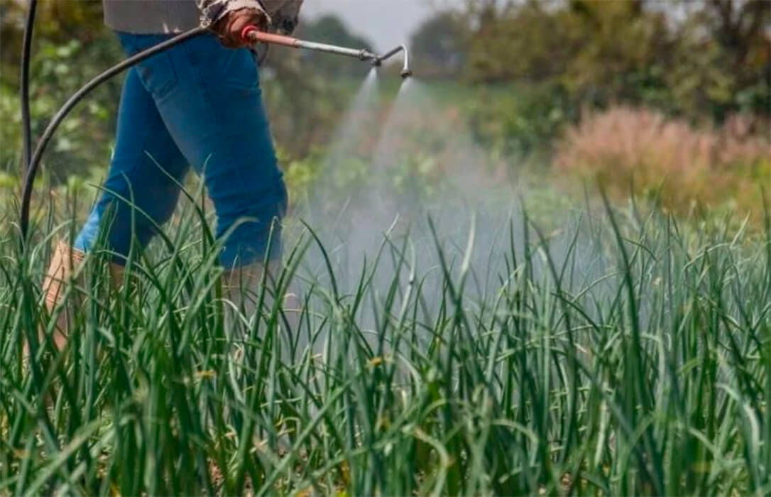 El sector agrario alerta: los ajustes del impuesto CBAM no frenan el riesgo de escasez y los costes críticos en fertilizantes